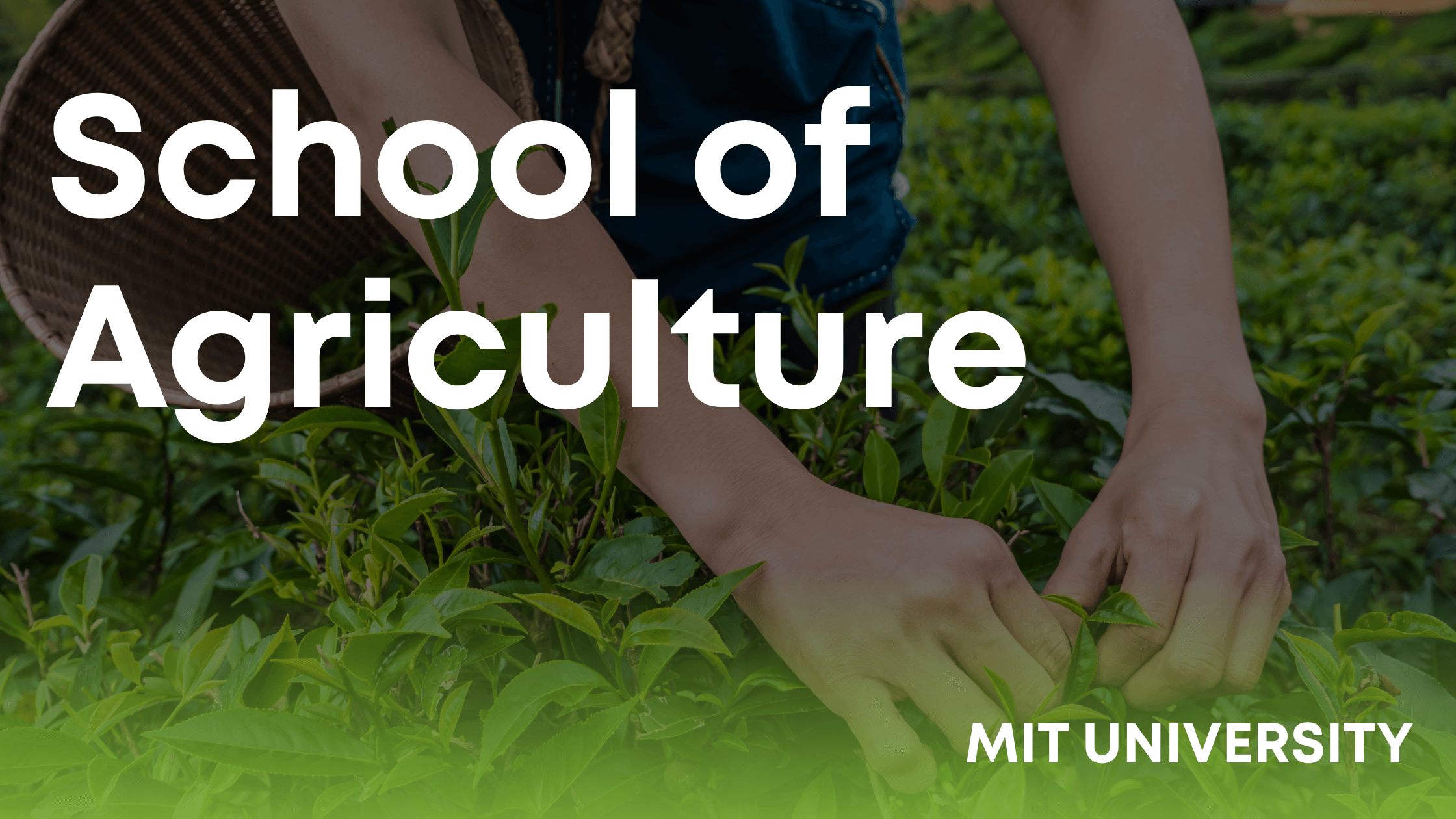 School of Agriculture